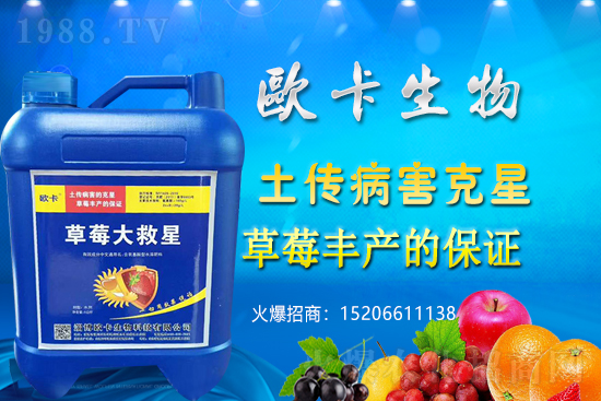 �W�������ٺ�1988.TV�����󌍬F(xi��n)��I(y��)�v�w����