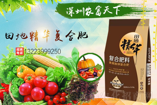 �����������������A���r(n��ng)�������ٺ�1988.TV��(chu��ng)���x����