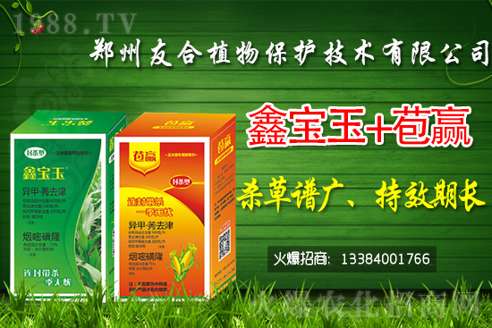 2021.5.29�������݄��r(ji��)������