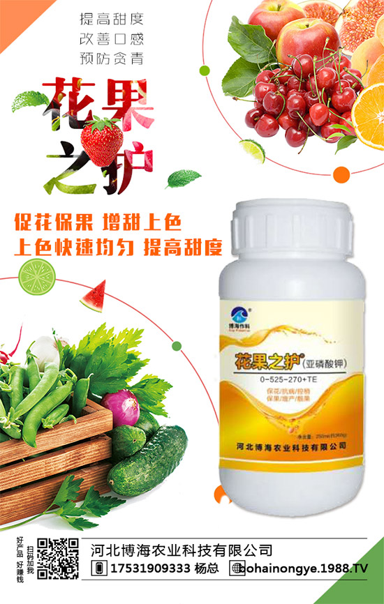 �����r(n��ng)���ٴ����v���r(n��ng)�����̾W(w��ng)�����F(xi��n)��I(y��)�°l(f��)չ��