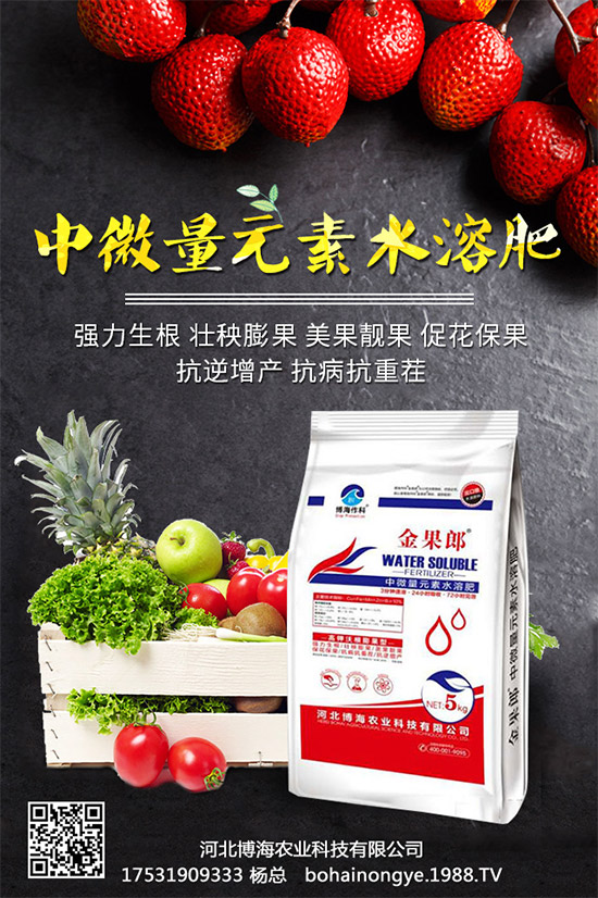 �����r(n��ng)���ٴ����v���r(n��ng)�����̾W(w��ng)�����F(xi��n)��I(y��)�°l(f��)չ��