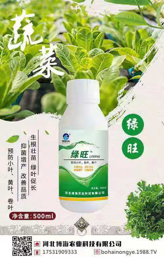 �����r(n��ng)���ٴ����v���r(n��ng)�����̾W(w��ng)�����F(xi��n)��I(y��)�°l(f��)չ��