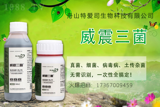 �Ͳ˚������r(ji��)��2021.5.9