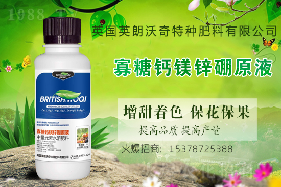 Ӣ������ɹ����s1988.TV���y�ֹ���(chu��ng)��(zh��n)��(j��)��