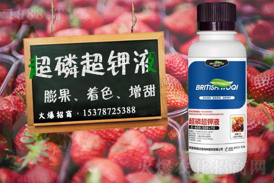 Ӣ������ɹ����s1988.TV���y�ֹ���(chu��ng)��(zh��n)��(j��)��