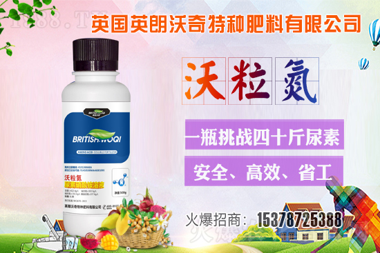 Ӣ������ɹ����s1988.TV���y�ֹ���(chu��ng)��(zh��n)��(j��)��