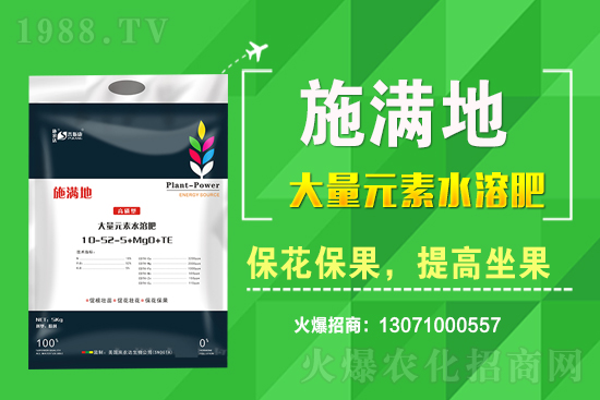 ��ݮ����