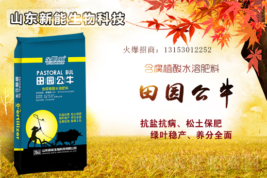 ⛷ʸ�λ�\�У�2021��6��18�Շ���(n��i)⛷ʃr������