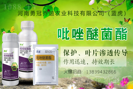 �����������¹چ̵ϣ��{(l��n)�����ٺ�1988.TV������(chu��ng)���x����