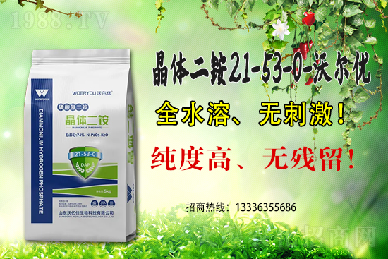 һ�@���m(x��)��λ��2021.6.25���@�r(ji��)���������(b��o)