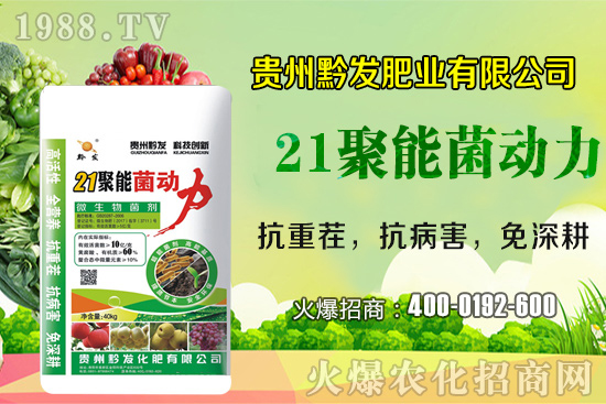 ǭ�l(f��)�ʘI(y��)�ٶȔy��1988.TV���y�ִ����������E��