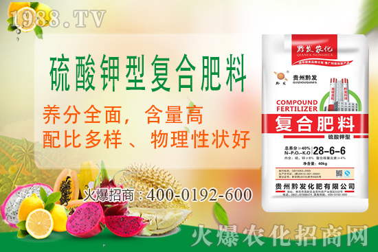 ǭ�l(f��)�ʘI(y��)�ٶȔy��1988.TV���y�ִ����������E��