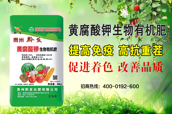 ǭ�l(f��)�ʘI(y��)�ٶȔy��1988.TV���y�ִ����������E��