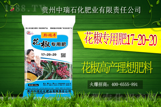     ����ʯ���ʘI(y��)�𱬁��u���ٺ����r(n��ng)�����̾W(w��ng)���_��(chu��ng)���x����