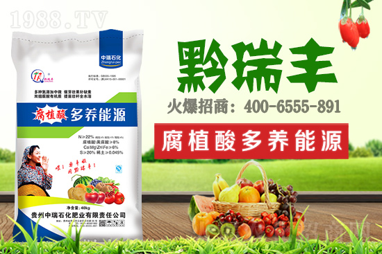     ����ʯ���ʘI(y��)�𱬁��u���ٺ����r(n��ng)�����̾W(w��ng)���_��(chu��ng)���x����