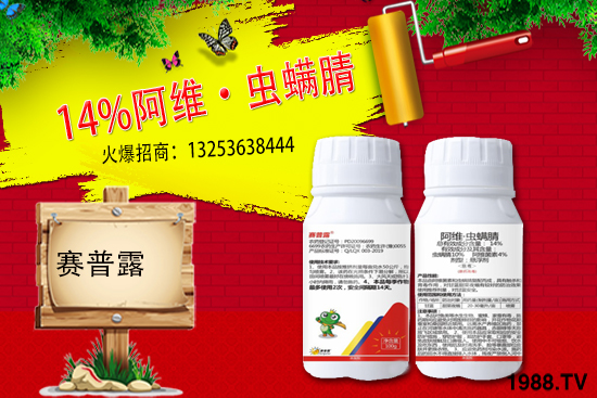 ِ��¶����𱬁��u���ٺ����r(n��ng)�����̾W(w��ng)�_��(chu��ng)���x�ͣ�