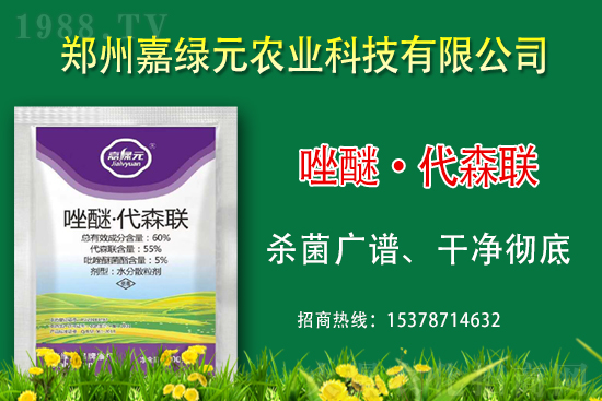 �������������ξGԪ�r(n��ng)�I(y��)�ٺ�1988.TV������(chu��ng)���x�ͣ�