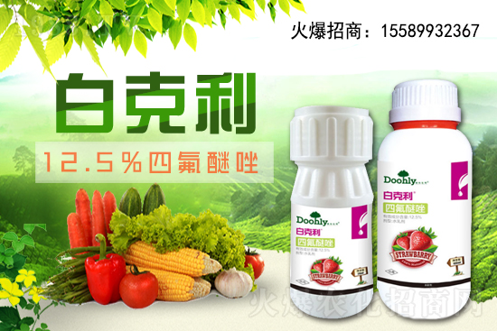 ��(gu��)�|���m(x��)�s1988.TV����(zh��n)�Ժ����P(gu��n)ϵ�������_(t��i)�A��