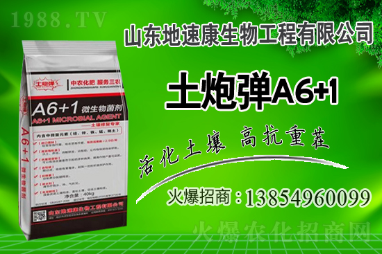    �����P(gu��n)ϵ�����A��ɽ�|���ٿ��c1988.TV�_����ƪ����