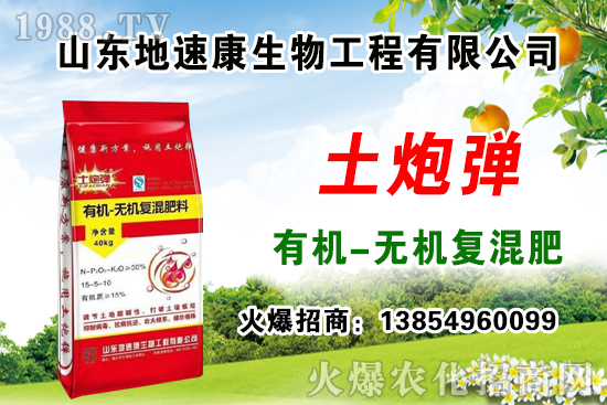    �����P(gu��n)ϵ�����A��ɽ�|���ٿ��c1988.TV�_����ƪ����