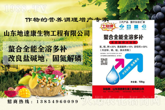    �����P(gu��n)ϵ�����A��ɽ�|���ٿ��c1988.TV�_����ƪ����