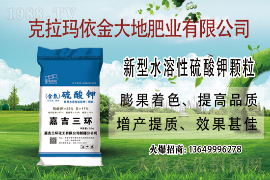 ⛷��Ј����ֈ�(ji��n)ͦ�߄�������⛷ʃr(ji��)���߄ݼ��������u