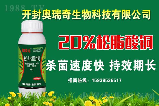 �W��������𱬁��u���y��1988.TV�_���W(w��ng)�j(lu��)���������̣�