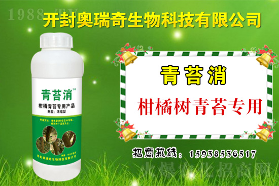 �W��������𱬁��u���y��1988.TV�_���W(w��ng)�j(lu��)������������