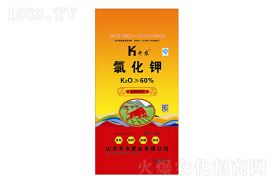 ⛷ʃr���q��2021��7��19��⛷ʃr�������Ո�