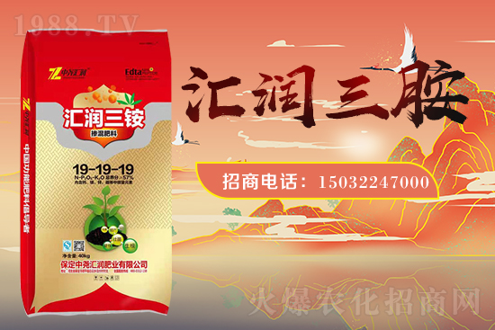 �r���W(w��ng)ϲӭ���������Ј�R�����s1988.TV�y�ִ����������E��