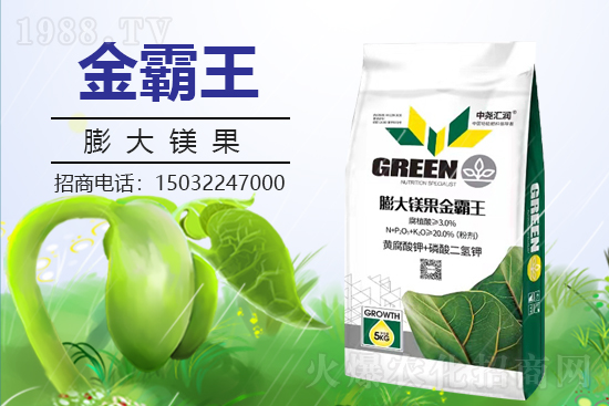 �r���W(w��ng)ϲӭ���������Ј�R�����s1988.TV�y�ִ����������E��