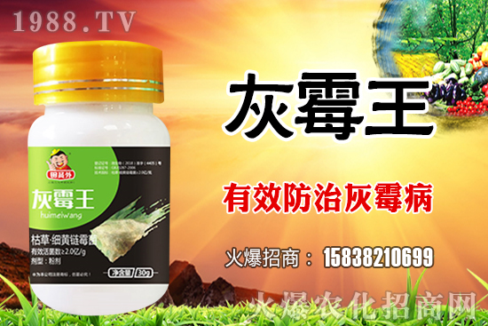 2021��7��24�������������r(ji��)��