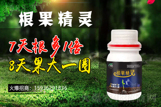 ��ɫ�и��m���m(x��)1988.TV�����\�����°l(f��)չ��