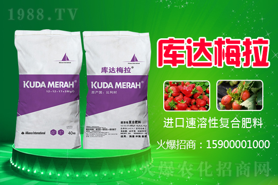 復(fù)合肥是跌還是漲？近期復(fù)合肥價(jià)格行情走勢(shì)（7月27日）