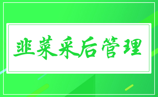 �²˲ɺ����