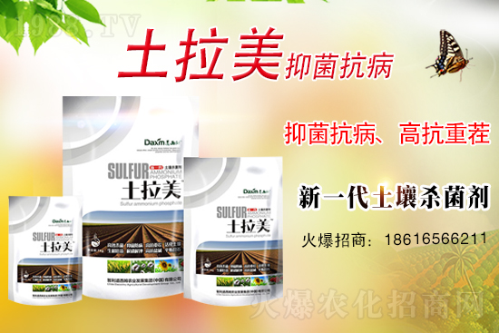 智利道西姆再簽1988.TV，開(kāi)啟網(wǎng)絡(luò)招商新模式！