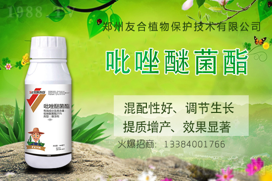 �R������߲�