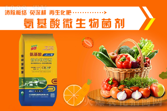 ɽ�|�W�������ٺ�1988.TV���y�ִ����������E��