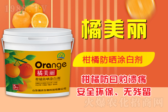 ���\(ch��ng)���������Aδ��(l��i)��ɽ�|��(qi��ng)�r(n��ng)�����ٺ�1988.TV���ل�(chu��ng)���x����