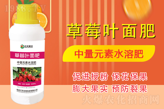 �����l(f��)չ������(chu��ng)δ�����������ﺞ�s1988.TV������(chu��ng)���x����