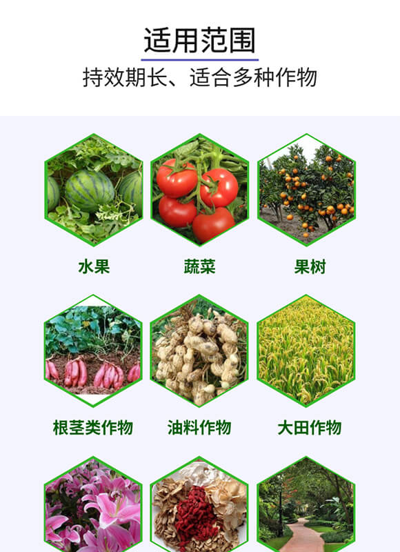 ��������0-52-34-�W����-������_05