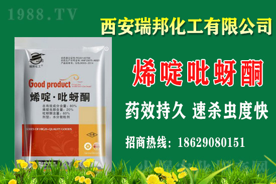 2021��8��4�հ��S���x�Κ��x���r(ji��)������