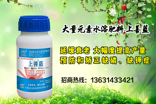 �V���������r(n��ng)�ٶȔy��1988.TV���y�ֹ���(chu��ng)��(zh��n)��(j��)��