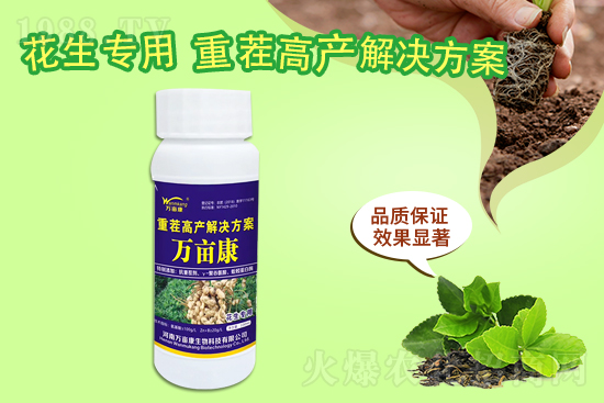 ���@����(w��n)������20219��10�����@�r(ji��)�������(b��o)�r(ji��)