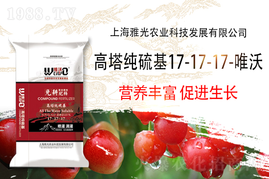 ���B�ďͺϷʃr����2021.9.17�A���؅^(q��)�ͺϷʃr������