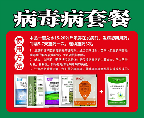 �������ײ�-Ξ���x2