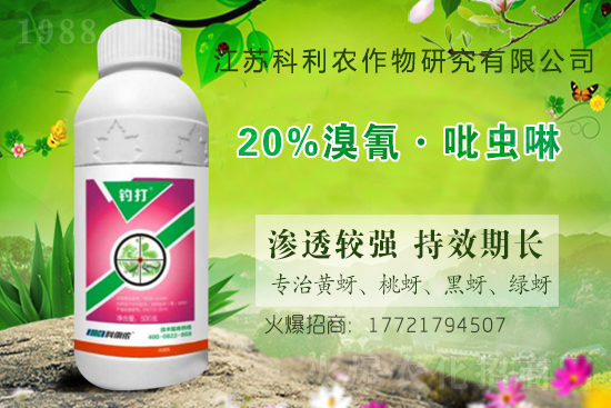 �r(n��ng)ˎ�r��