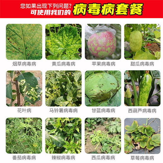 �������ײ�-Ξ���x3