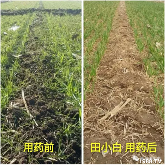 ��(ji��)��(ji��)��Σ����(y��n)����ô������ʲôˎ��Ч������