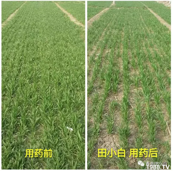 ��(ji��)��(ji��)��Σ����(y��n)����ô������ʲôˎ��Ч������